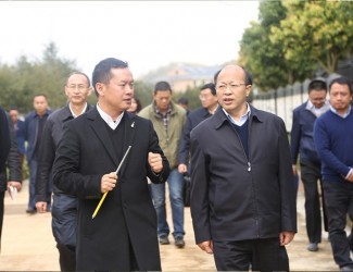 云南省委常委、副書記李秀領(lǐng)一行到苗鄉(xiāng)三七科技示范園考察調(diào)研