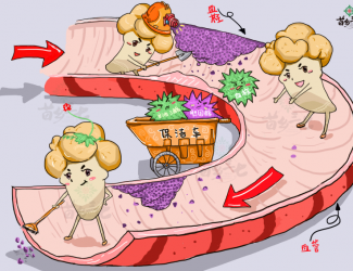 血瘀體質(zhì)的表現(xiàn)與癥狀，如何用三七活血化瘀