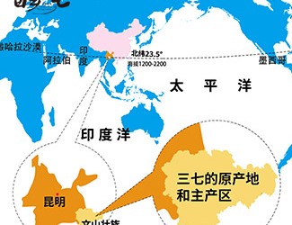 三七產(chǎn)地哪里的最好，廣西田七與云南三七有何區(qū)別