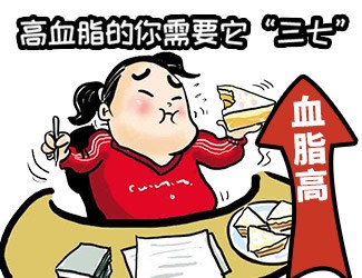 高血脂頭昏天旋地轉(zhuǎn)，三七還我一片天清氣朗