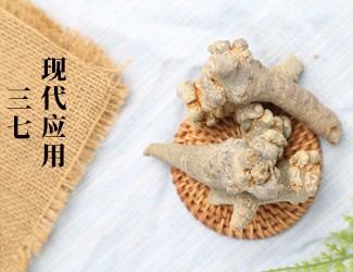 三七的功效作用在現(xiàn)代臨床中的應(yīng)用，揭秘醫(yī)生如何用三七治病