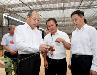 云南省委書記阮成發(fā)省長王予波等領導到苗鄉(xiāng)三七調研指導