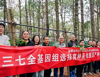 無數(shù)次從零到一，無數(shù)人前赴后繼守護(hù)三七“種業(yè)芯片”